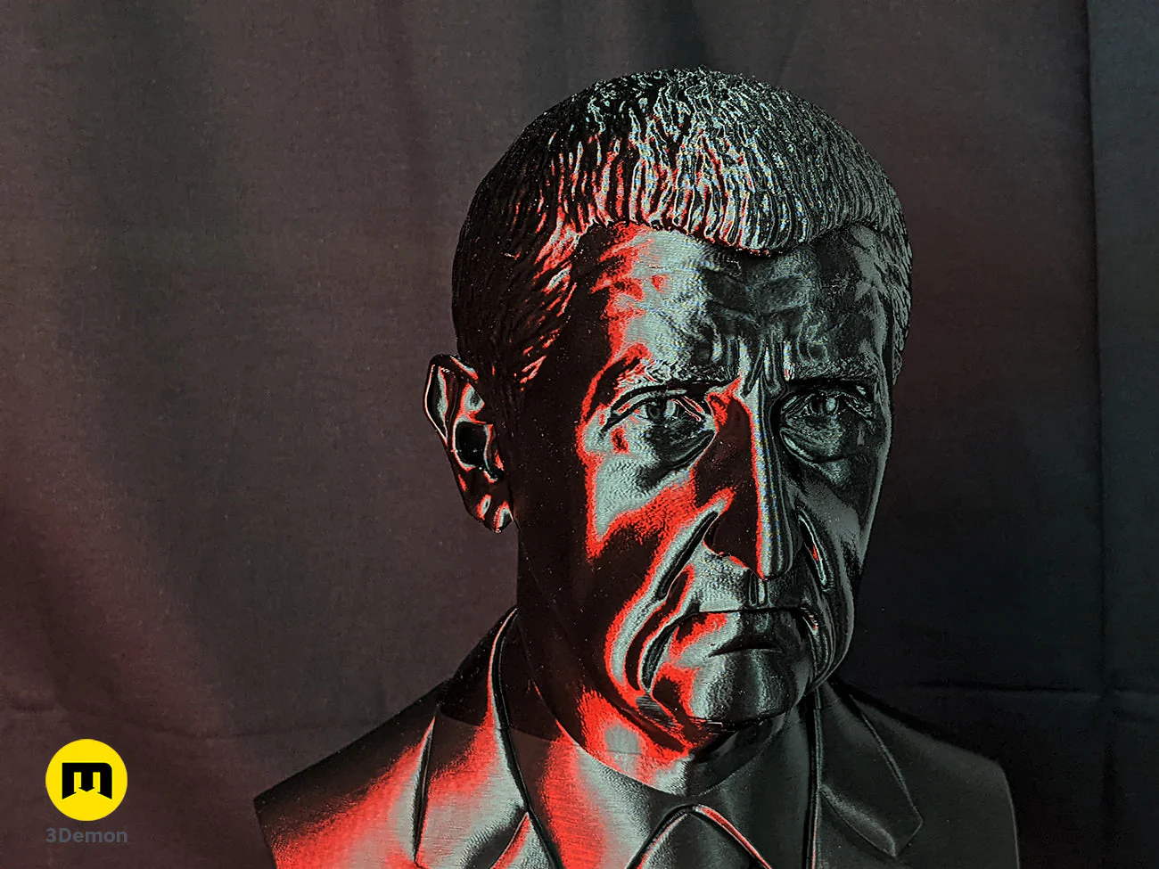 Andrej Babis Bust - Image 3