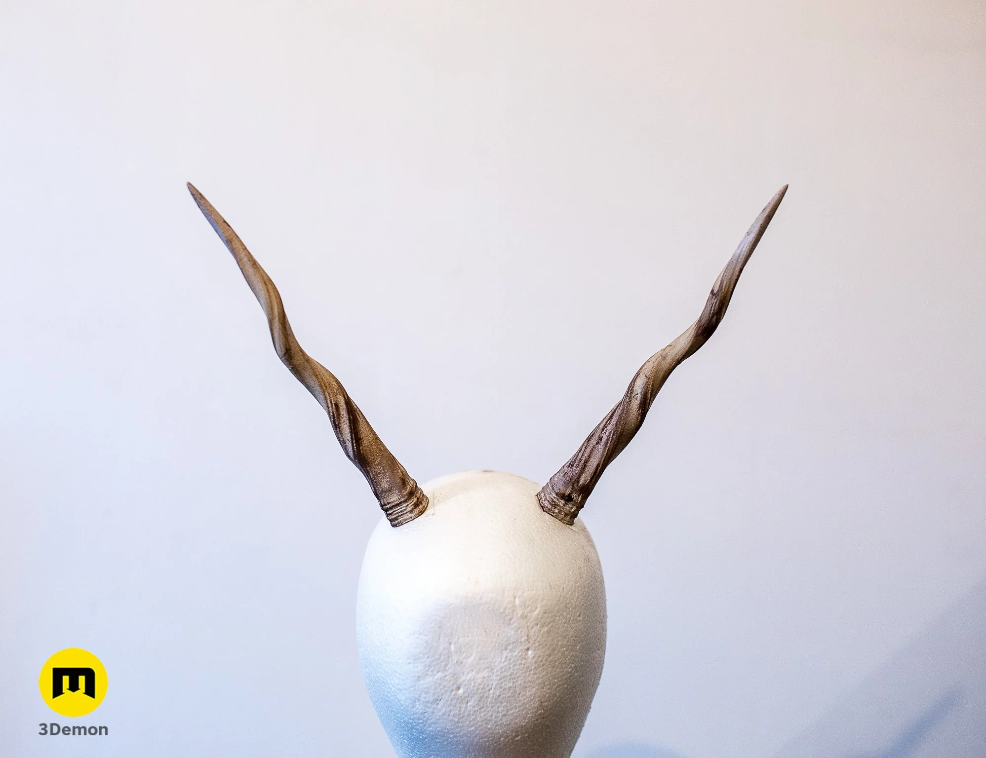 Antelope twisted horns - Image 2