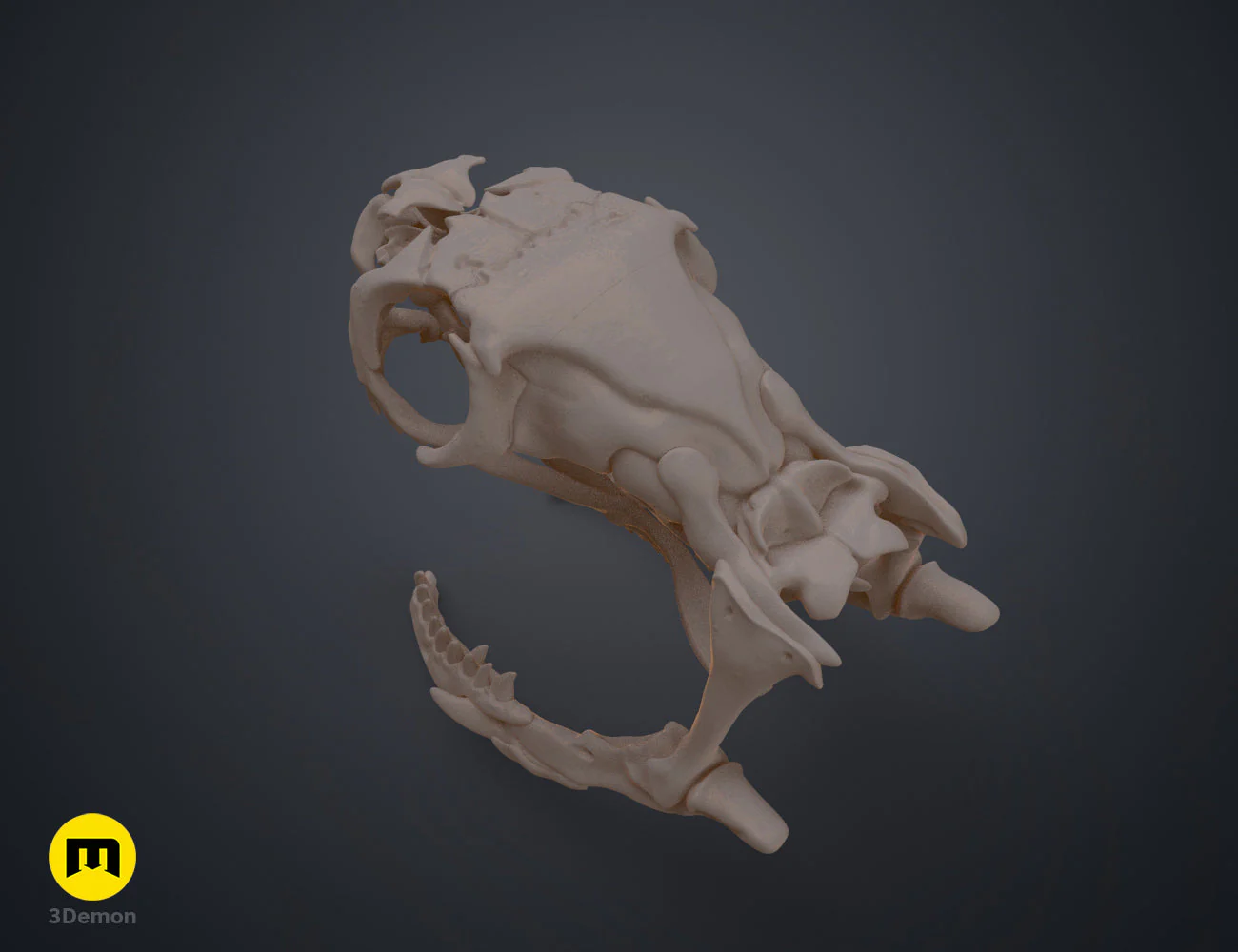 Cobra Snake Skull - Image 10