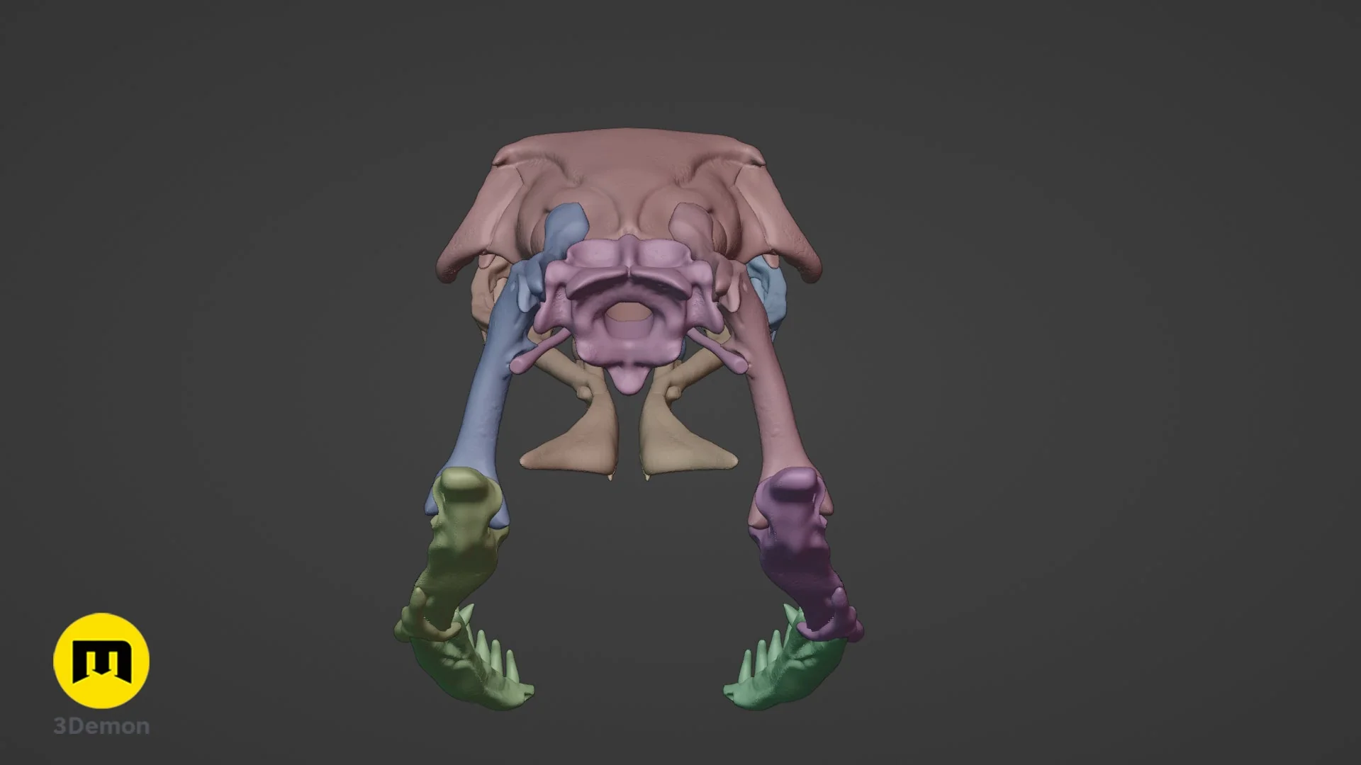 Cobra Snake Skull - Image 12