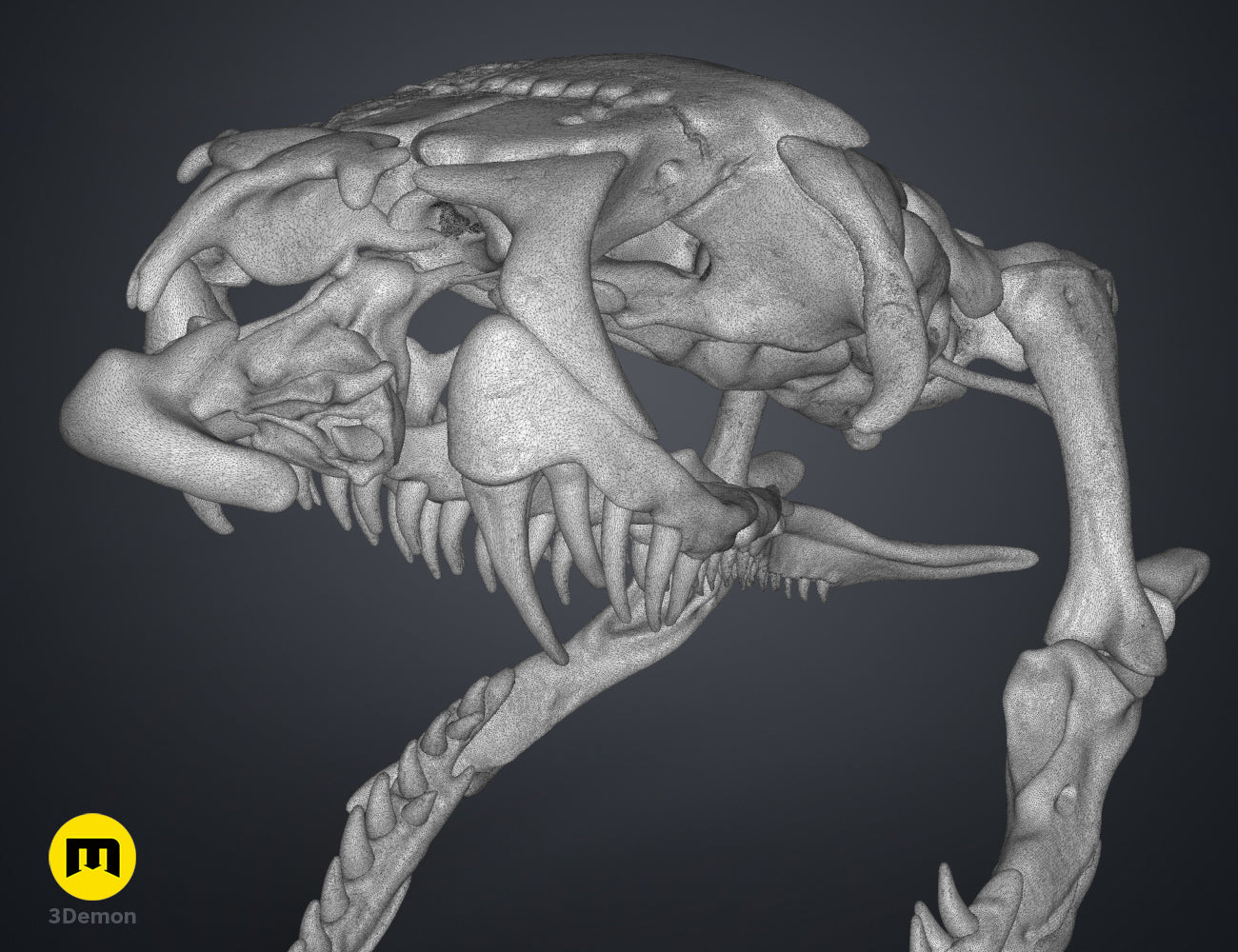 Cobra Snake Skull - Image 13