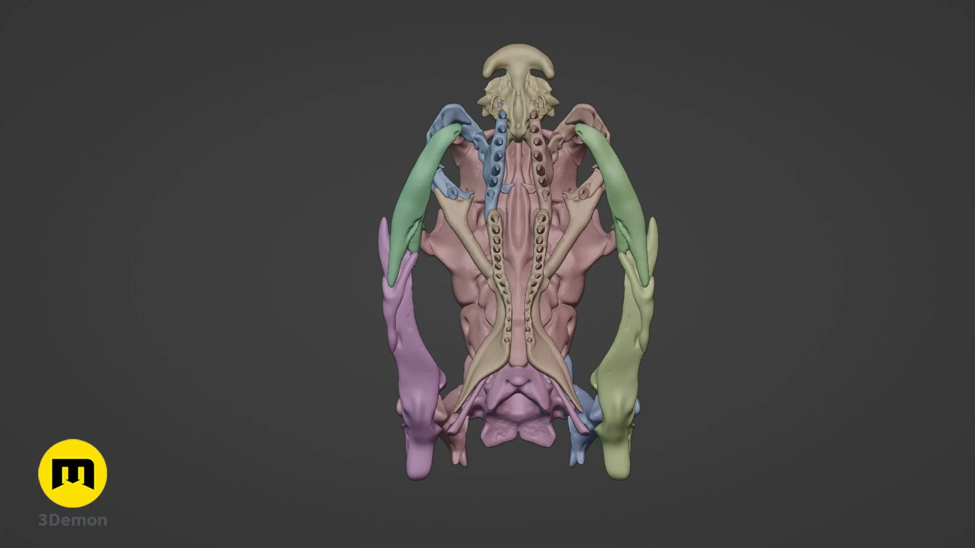 Cobra Snake Skull - Image 14