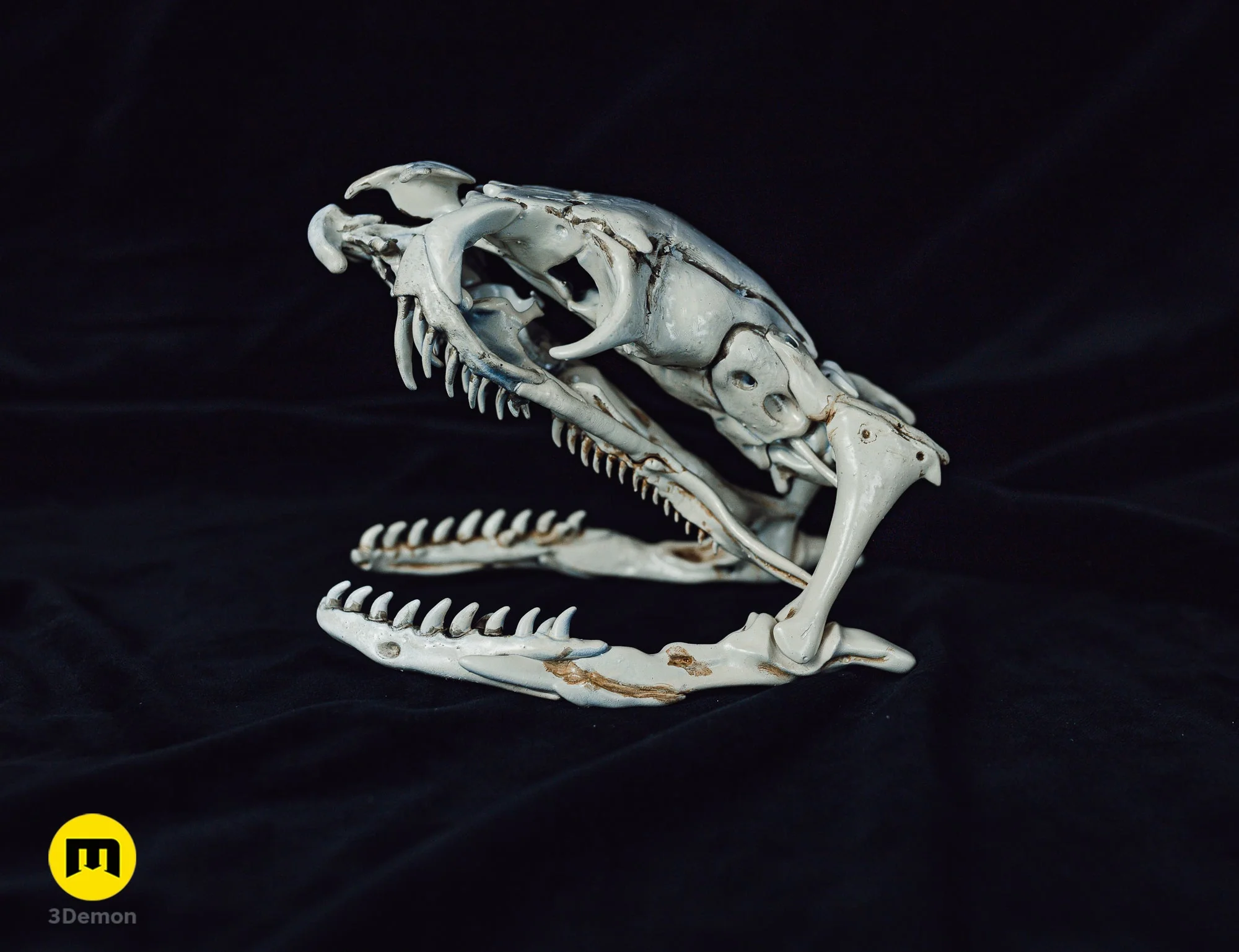 Cobra Snake Skull - Image 2