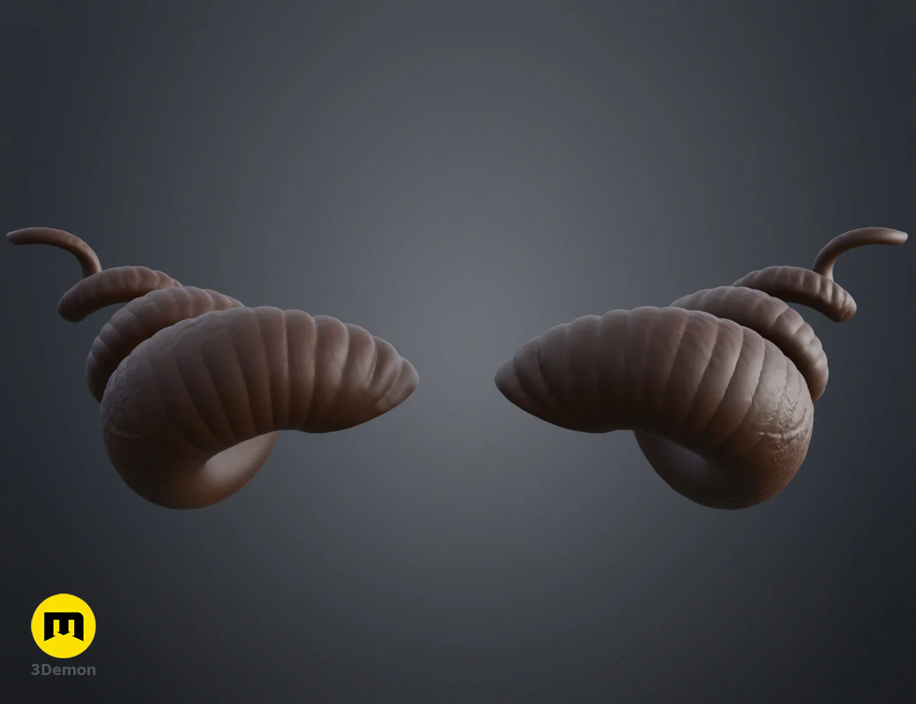 Helical horns - Image 3