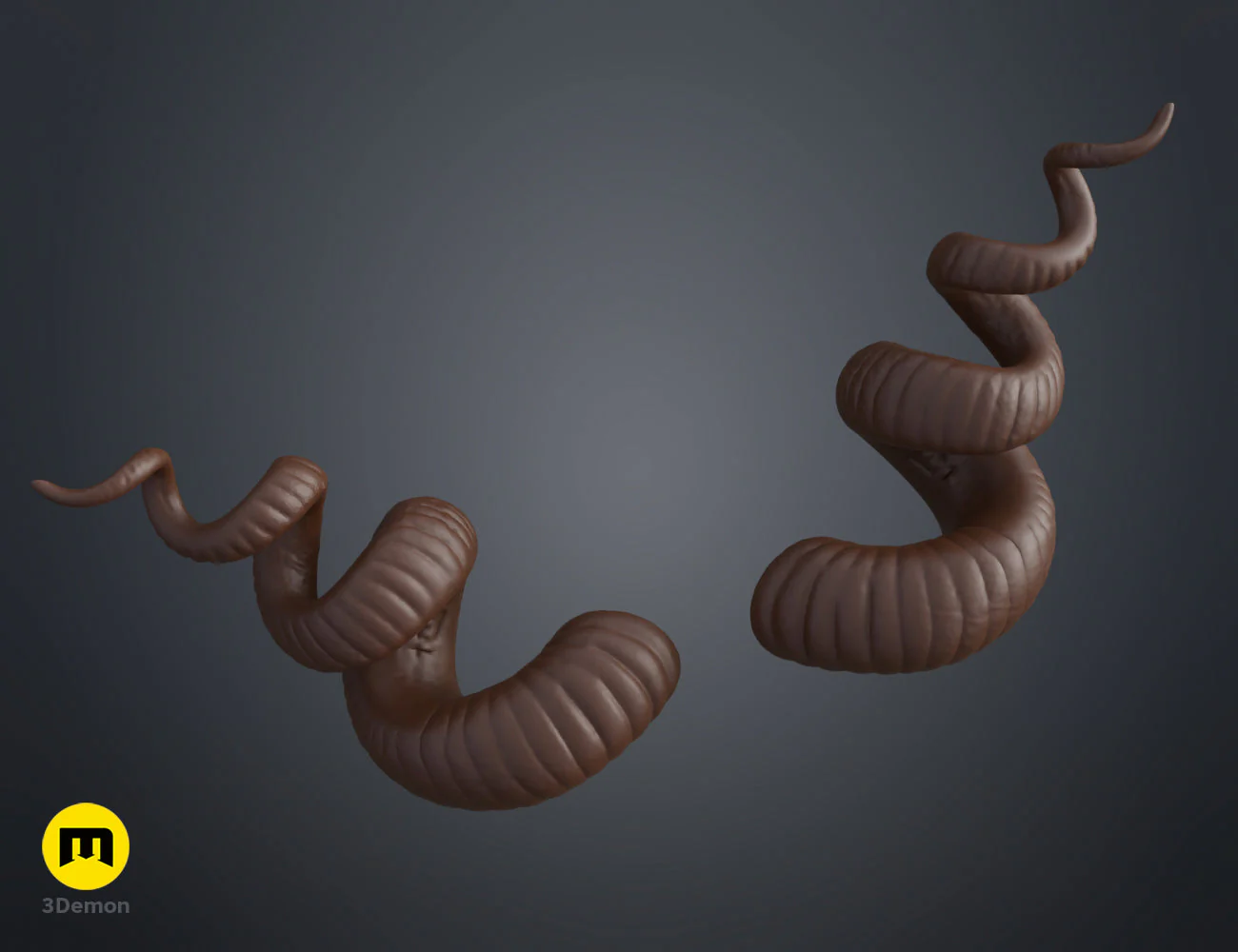 Helical horns - Image 5