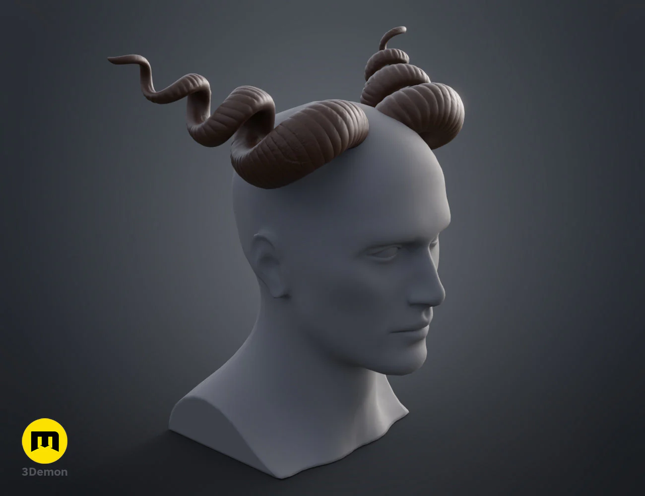 Helical horns - Image 6