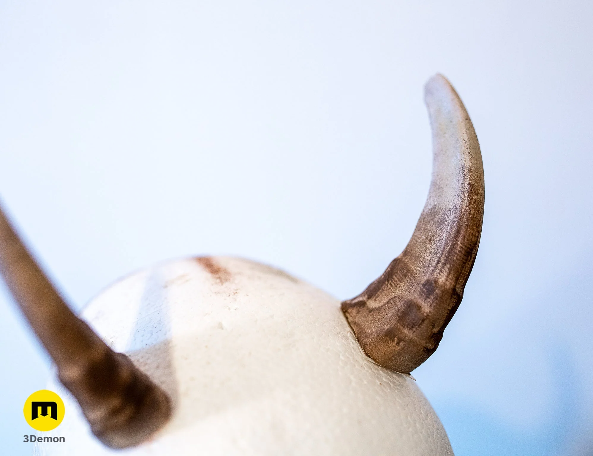 Himalayan tahr horns - Image 4