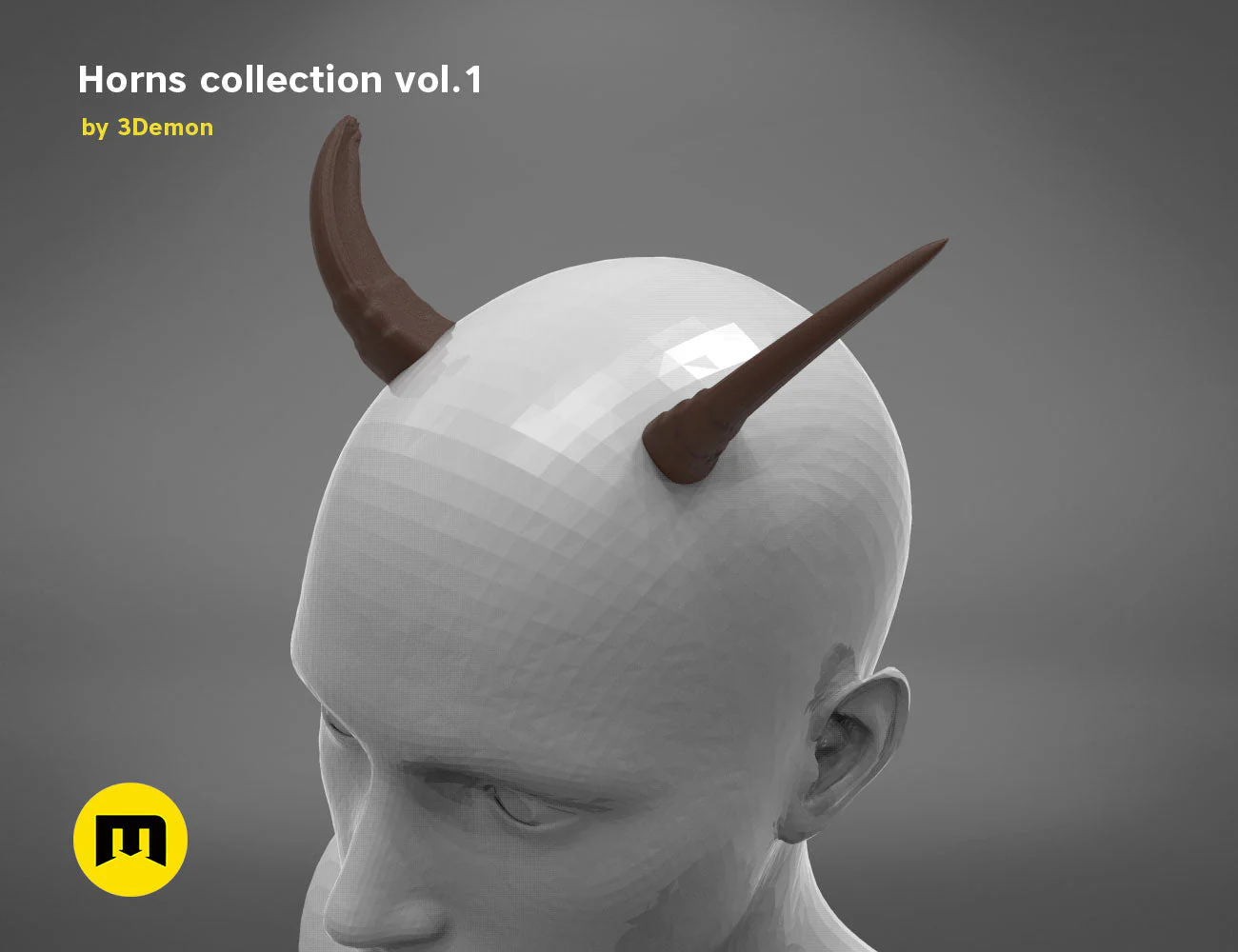 Himalayan tahr horns - Image 9