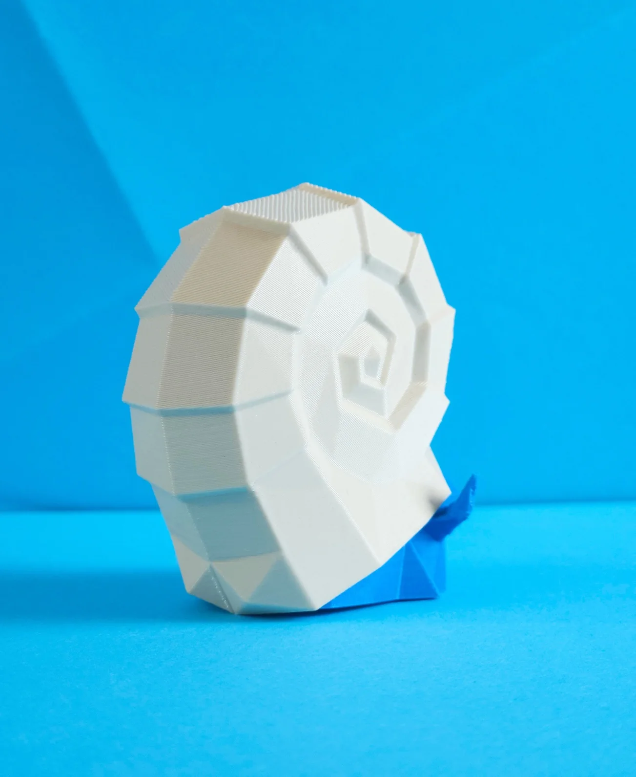 Omanyte - Image 2
