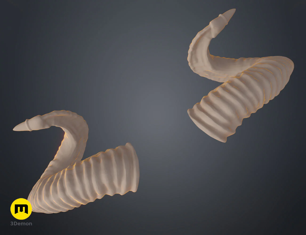 Mountain sheep Horns - Image 10