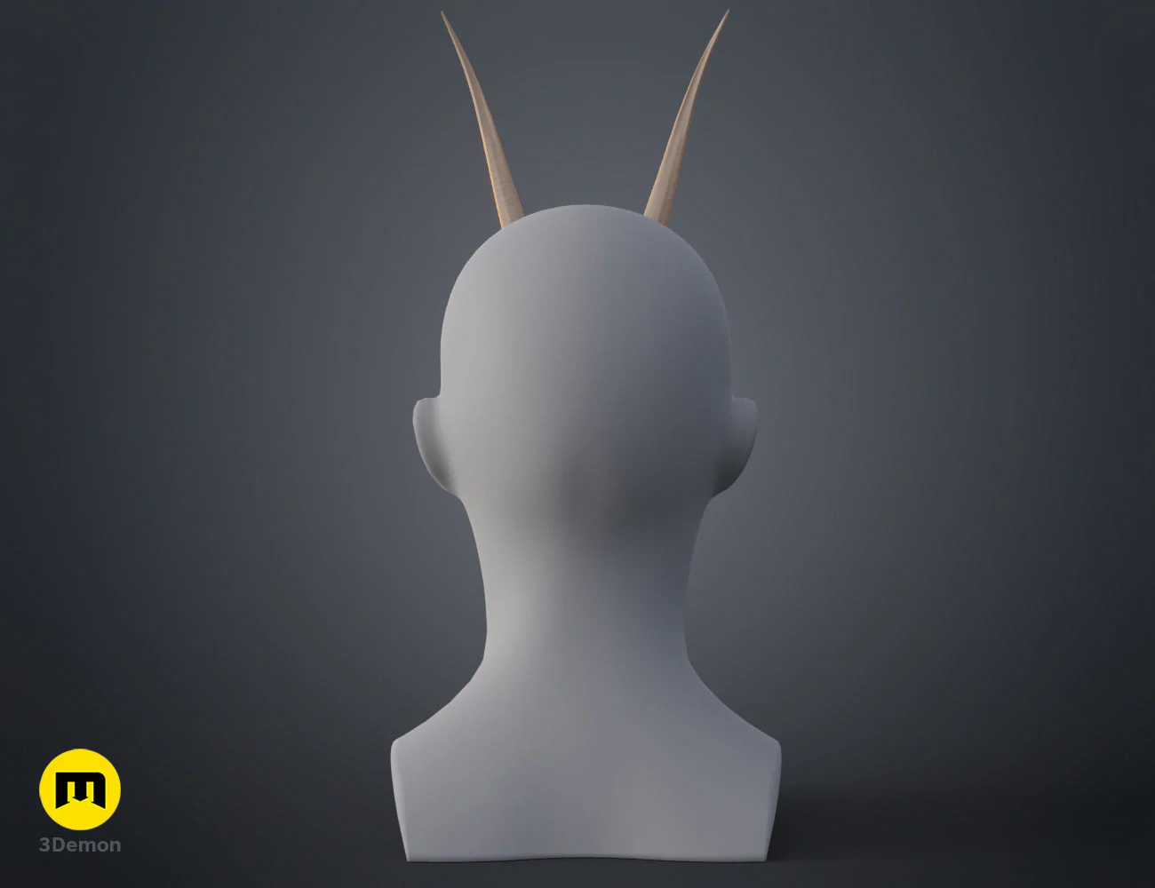 Oribi horns - Image 11