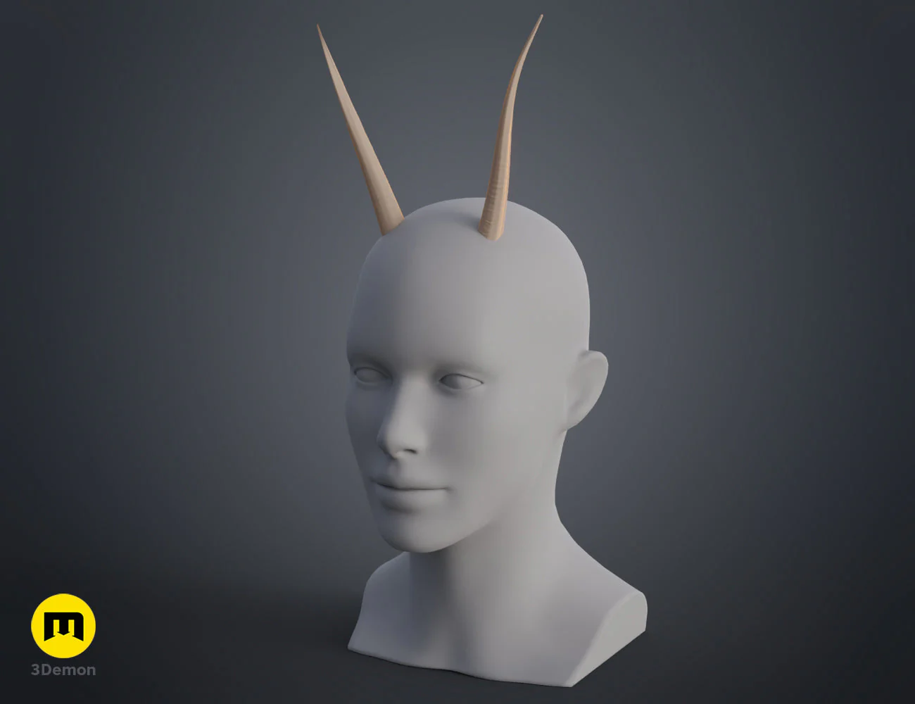 Oribi horns - Image 12
