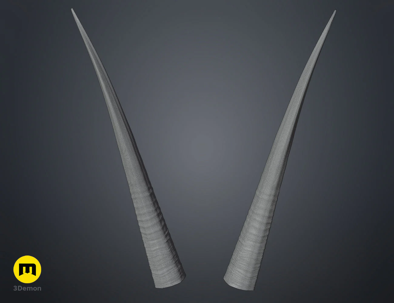 Oribi horns - Image 13