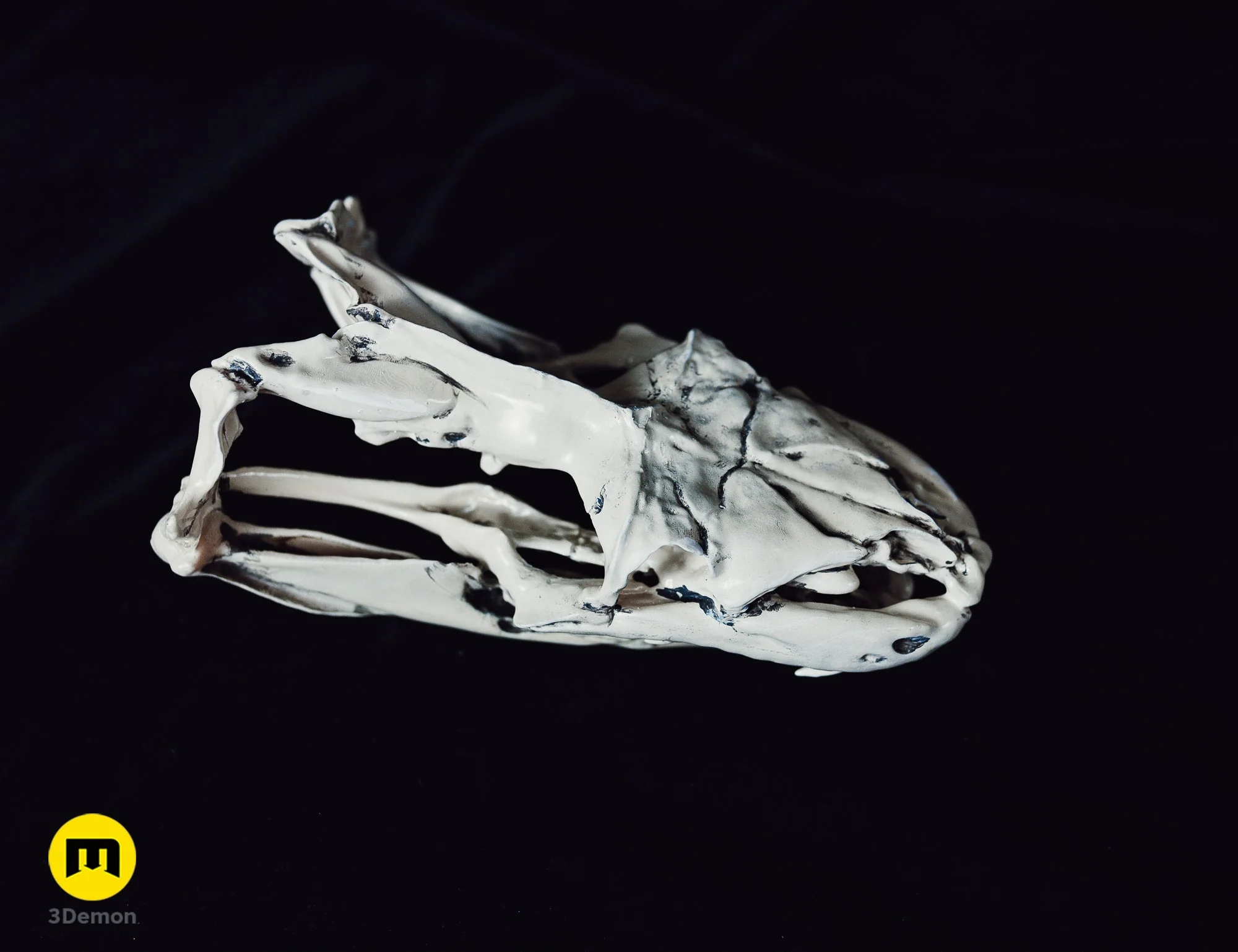 Python Snake Skull - Image 10