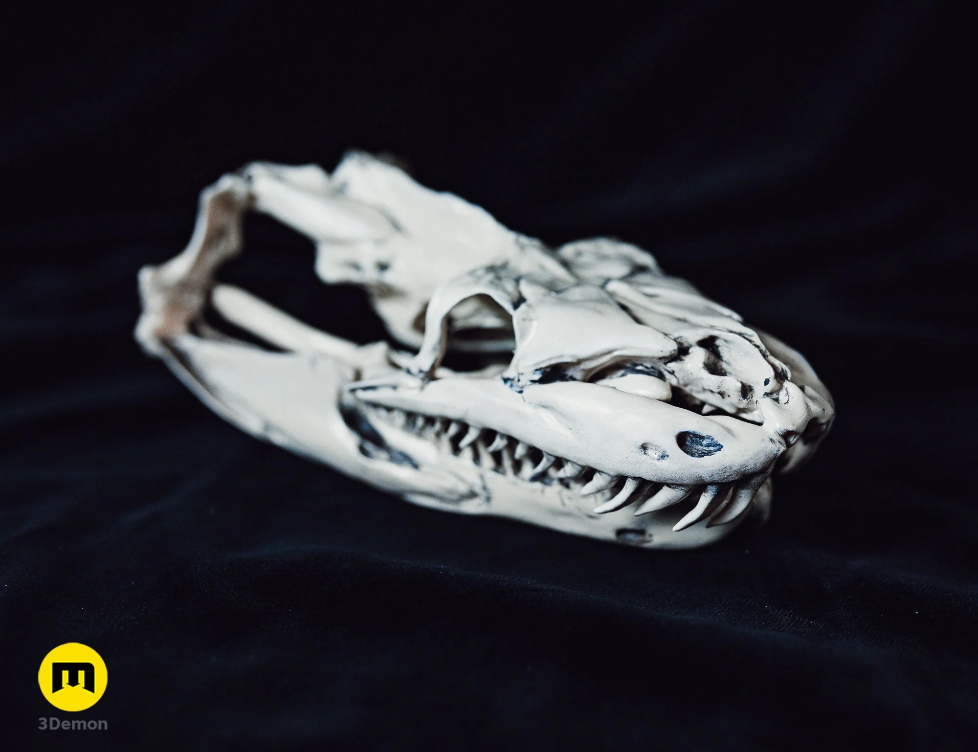 Python Snake Skull - Image 2