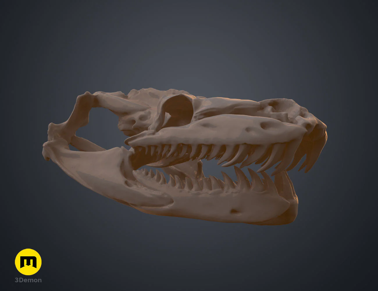 Python Snake Skull - Image 3