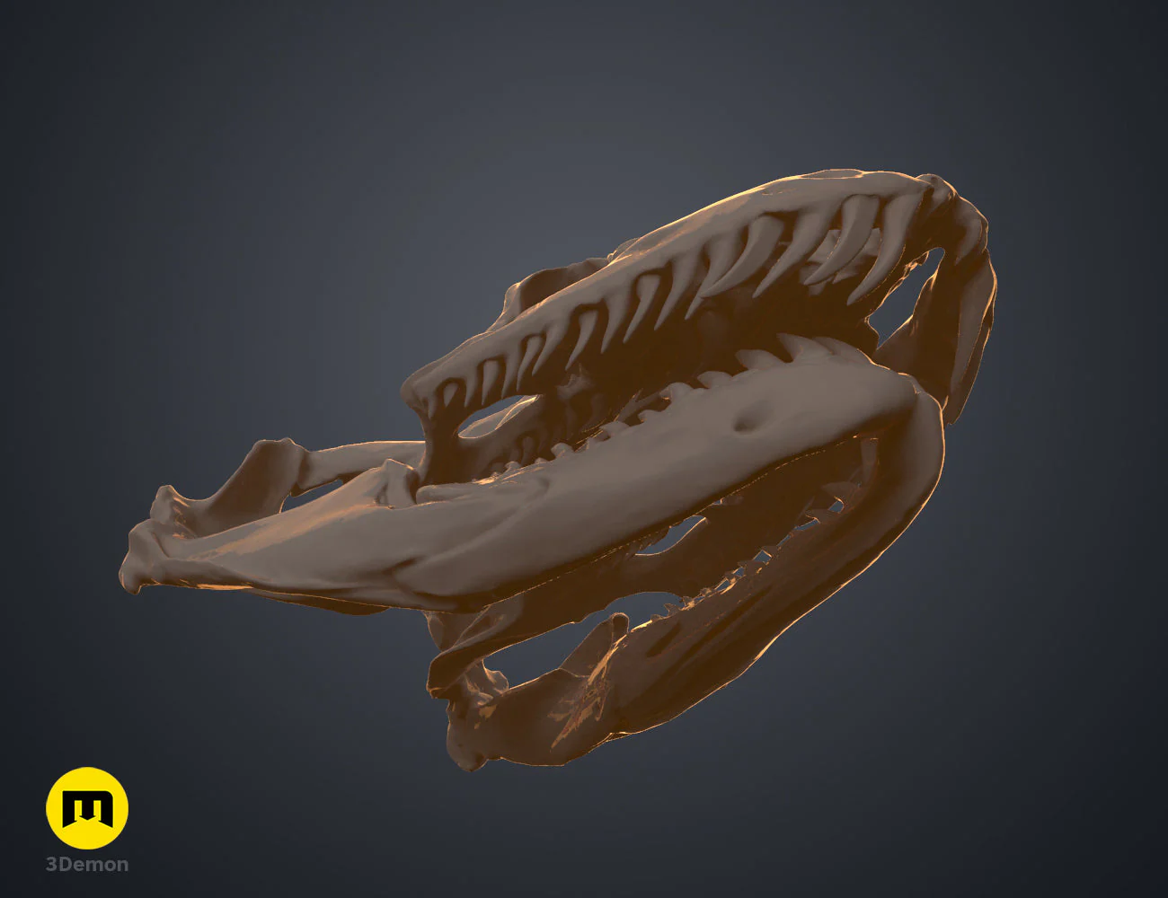 Python Snake Skull - Image 5