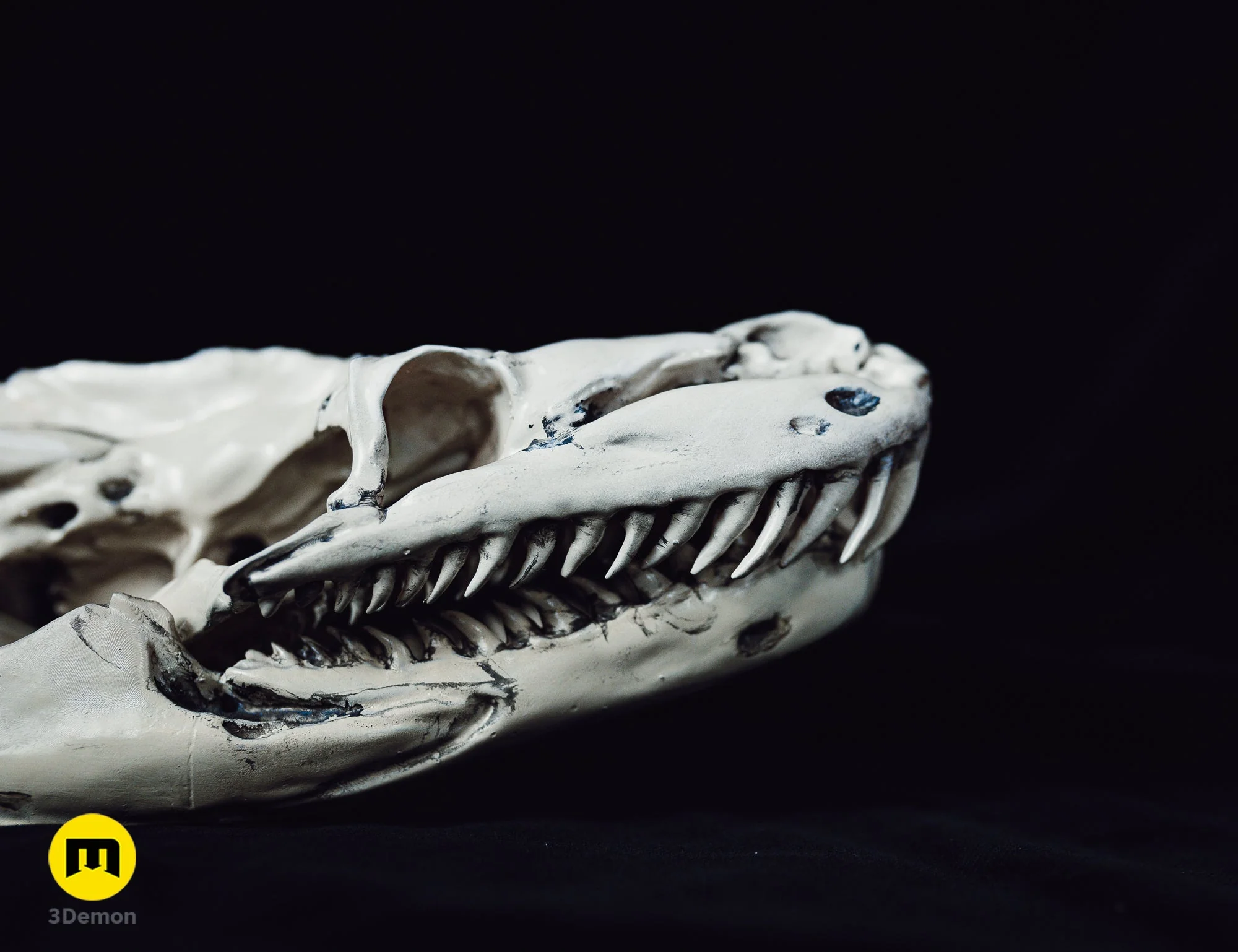 Python Snake Skull - Image 6