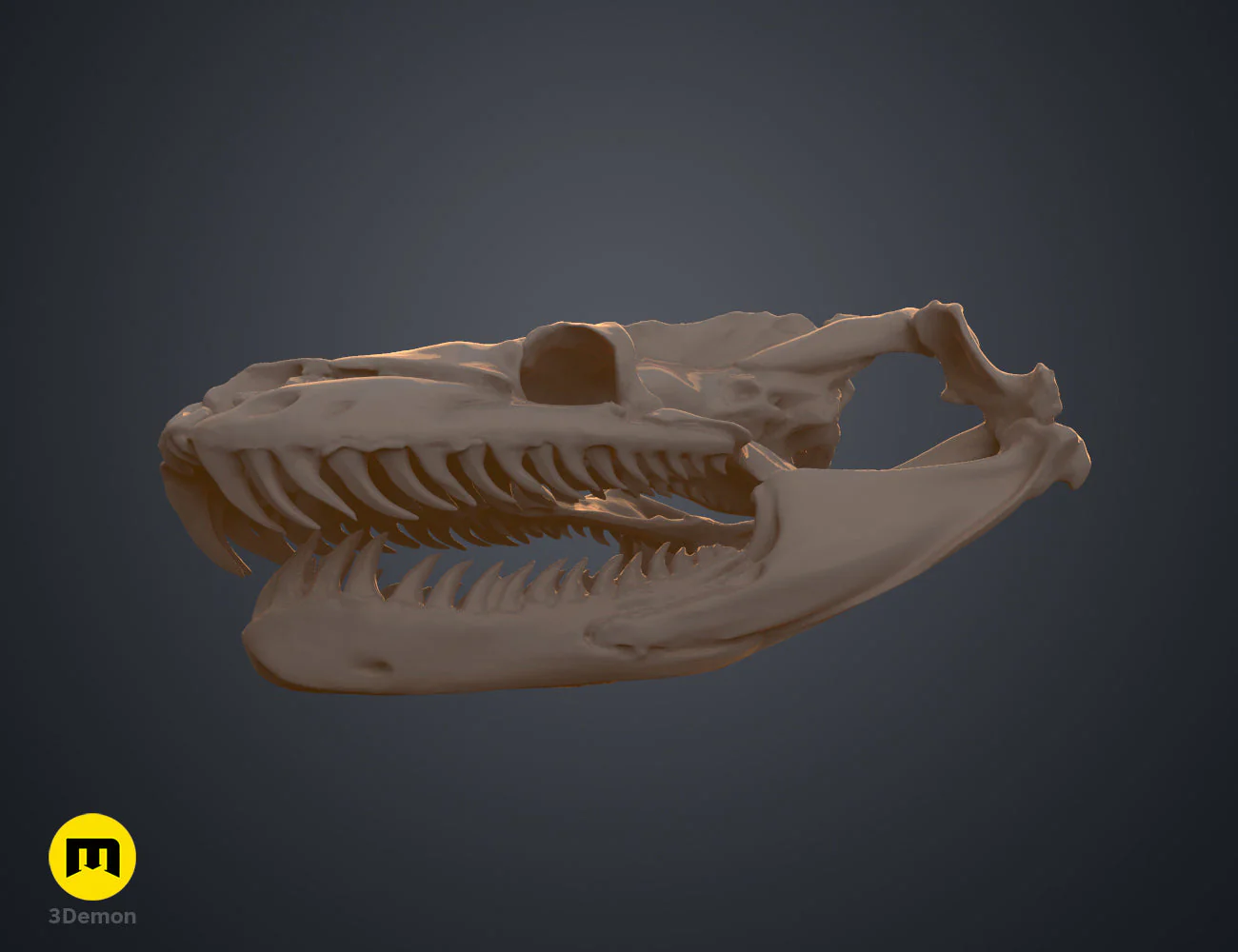 Python Snake Skull - Image 7