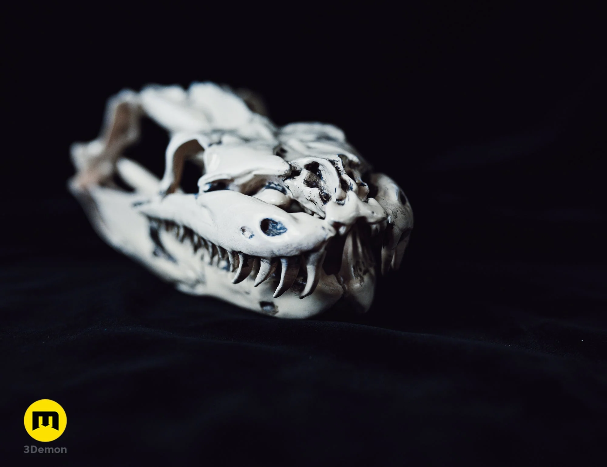 Python Snake Skull - Image 9