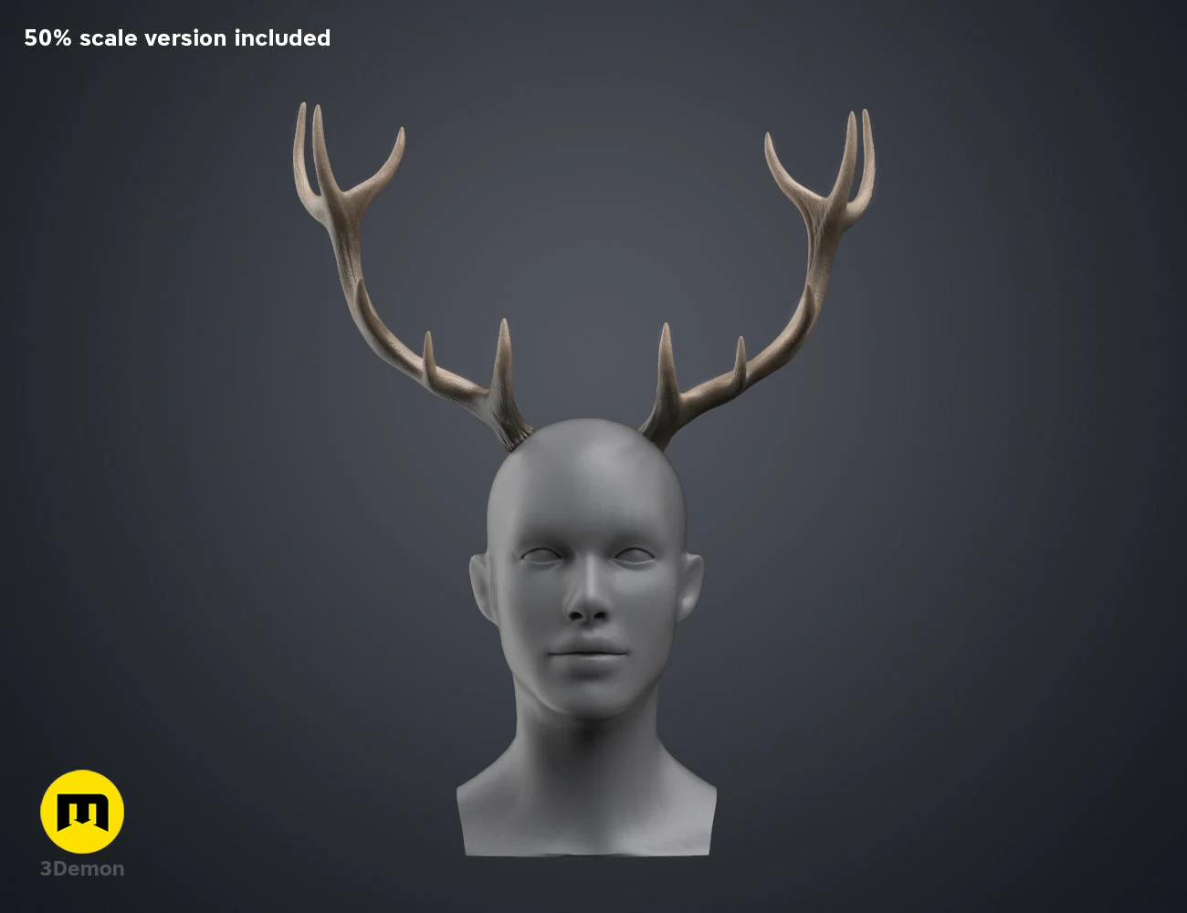 Red Deer antlers - Image 16
