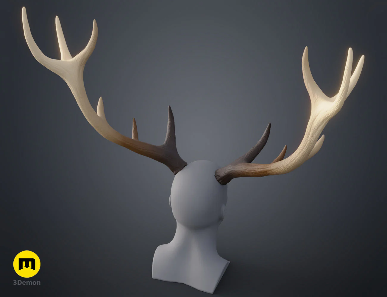Red Deer antlers - Image 28