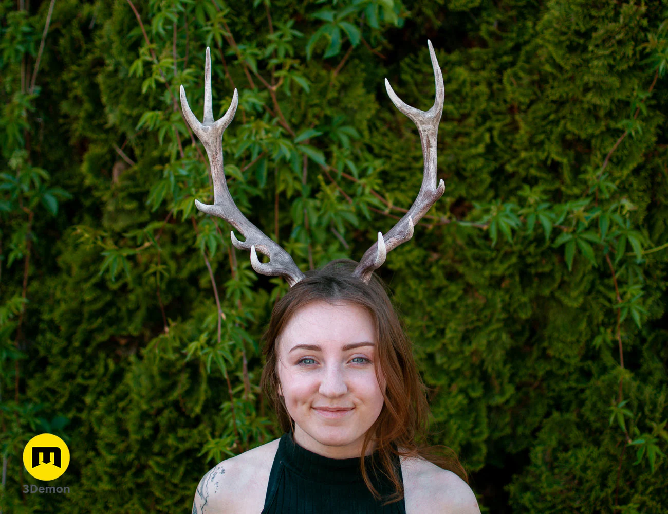 Red Deer antlers - Image 3