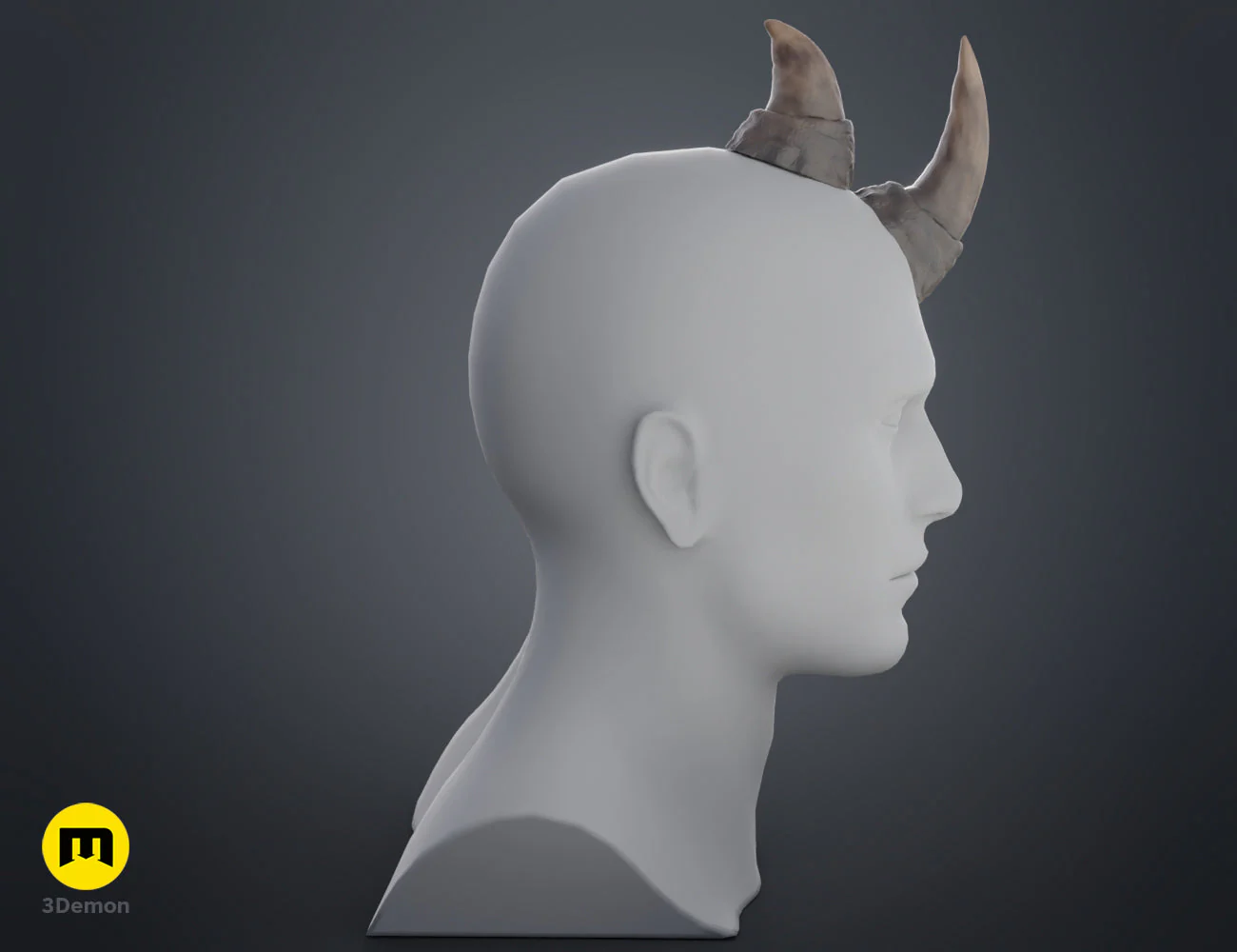 Rhino horns - Image 10