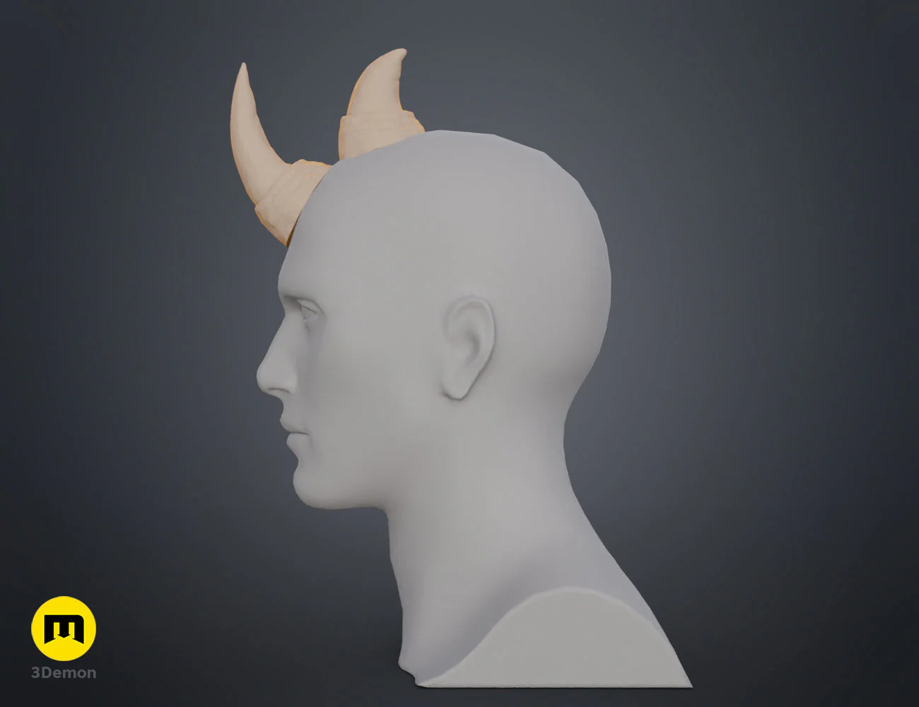 Rhino horns - Image 14
