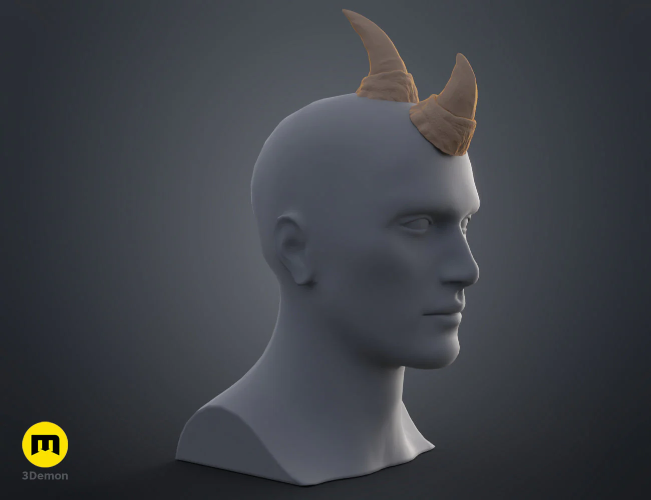 Rhino horns - Image 16
