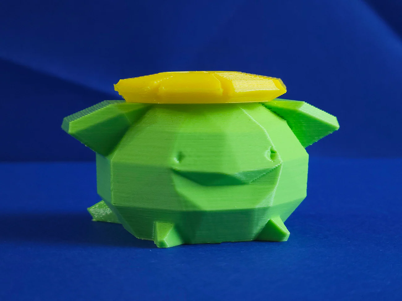 Skiploom