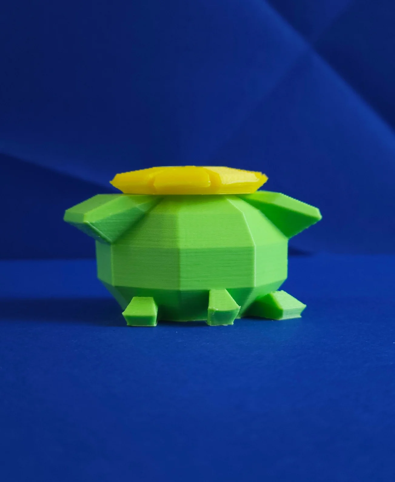 Skiploom - Image 2