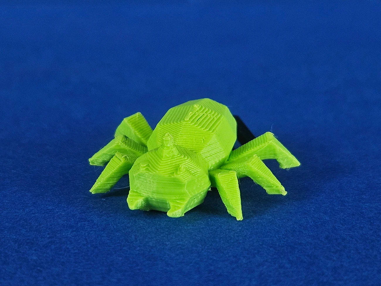 Spinarak