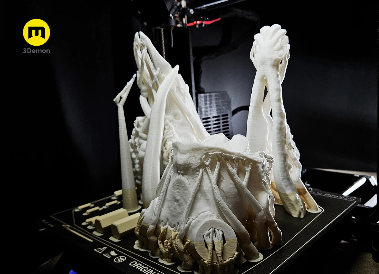 White-Tailed Deer Skull (Odocoileus Virginianus) - Image 7